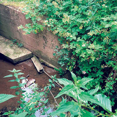 Aktuell ist der Tiergartenbach durch Mauern und Rohre eingeengt  – das wird sich bald ändern.