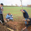 Pflanzaktion des AVG auf der Streuobstwiese im Brettenbachtal im Oktober 2011.